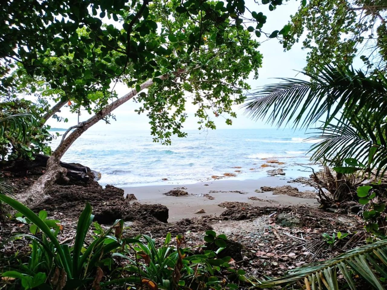Hotel La Diosa Cahuita Exteriör bild